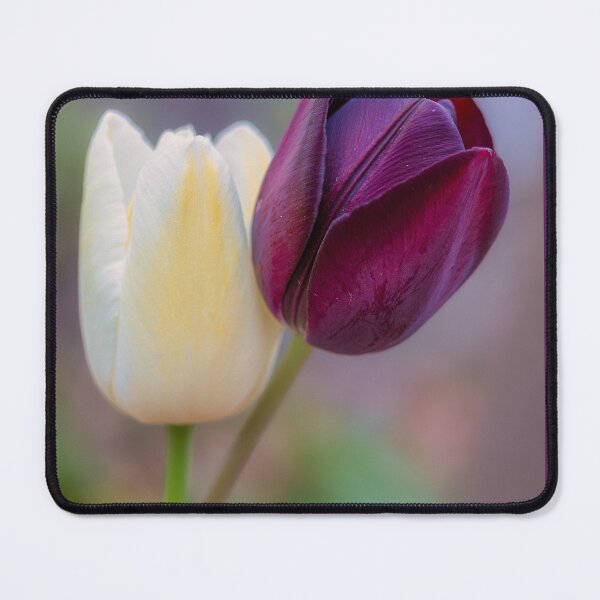 Item preview, Tiptoe Through The Tulips designed and sold by Lynn Snow Images.
