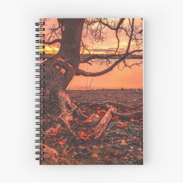 Item preview, BK's Spot designed and sold by Joshua Snyder.