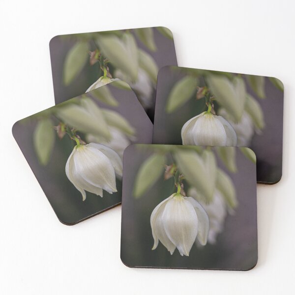 Item preview, Delicate Blooms designed and sold by Lynn Snow Images.