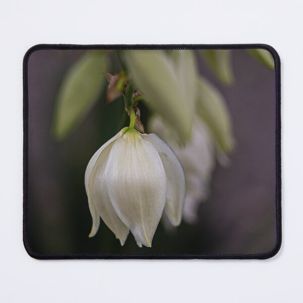 Item preview, Delicate Blooms designed and sold by Lynn Snow Images.
