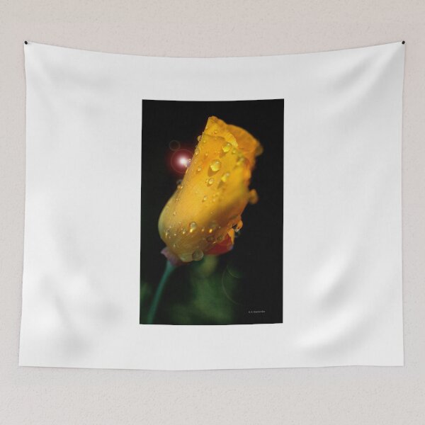 Item preview, Tulip With Dew Drops designed and sold by AMacGPhilly.