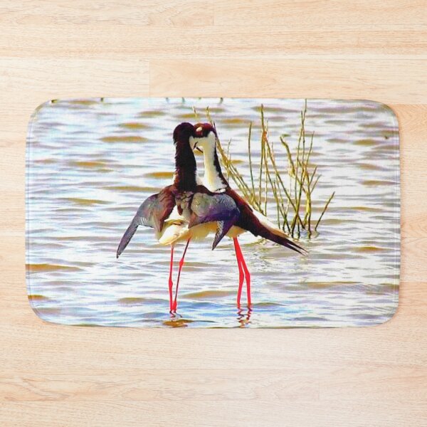 Item preview,  Kiss Bleck - necked Stilts designed and sold by "sensesillusion" - Nature Images Art Prints .