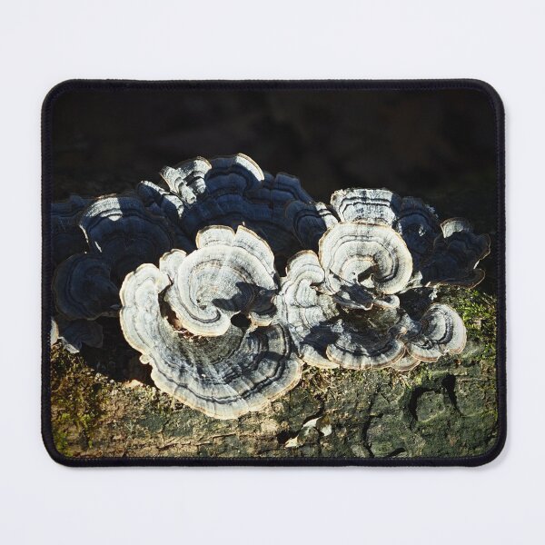 Item preview, Mushrooms In Sunlight designed and sold by GlimpseBeauty11.