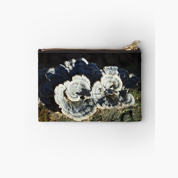 Item preview, Mushrooms In Sunlight designed and sold by GlimpseBeauty11.