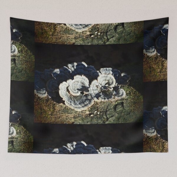 Item preview, Mushrooms In Sunlight designed and sold by GlimpseBeauty11.