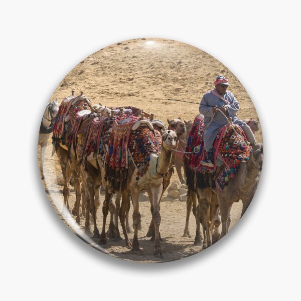 Item preview, Camels of Giza. Cairo 2026 designed and sold by Jouko Lehto Photography.