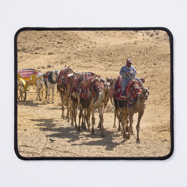 Item preview, Camels of Giza. Cairo 2026 designed and sold by Jouko Lehto Photography.