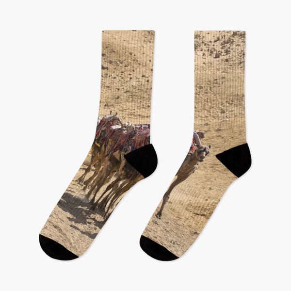Item preview, Camels of Giza. Cairo 2026 designed and sold by Jouko Lehto Photography.