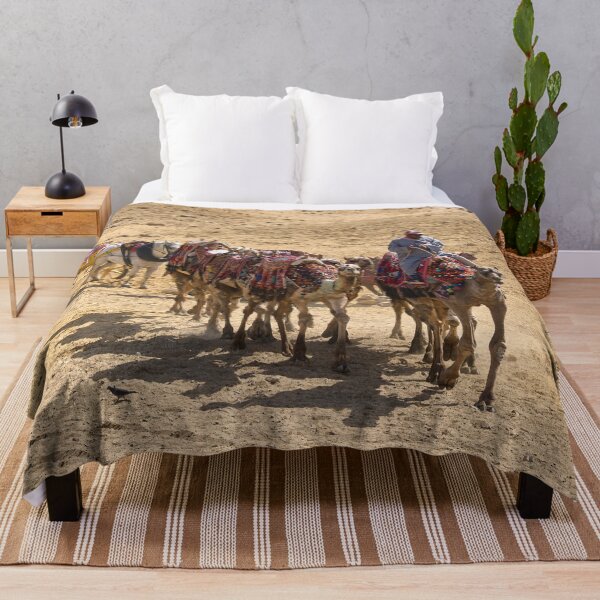 Item preview, Camels of Giza. Cairo 2026 designed and sold by Jouko Lehto Photography.