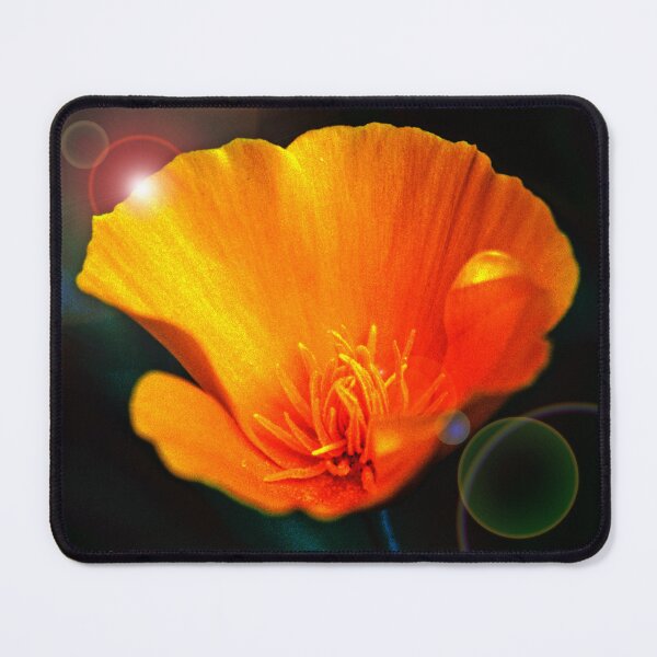 Item preview, California Golden Poppy designed and sold by AMacGPhilly.