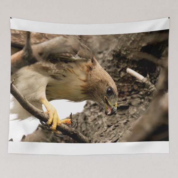 Item preview, Red tailed hawk. designed and sold by Rinoxxx.