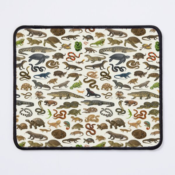 Item preview,  Reptiles of the World Retro Wildlife Identification Chart designed and sold by kakarikihill.