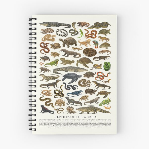 Item preview,  Reptiles of the World Retro Wildlife Identification Chart designed and sold by kakarikihill.
