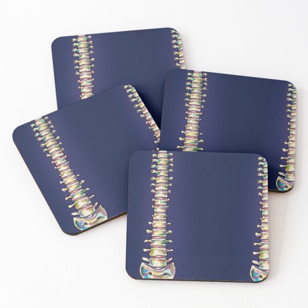 Item preview, Colourful spine anatomical illustration blue background  designed and sold by Madie Kay.