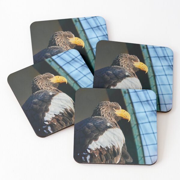 Item preview, Why so serious? designed and sold by Eidetic Photos.