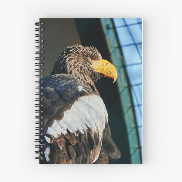 Item preview, Why so serious? designed and sold by Eidetic Photos.