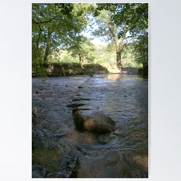 Item preview, Stepping Stones designed and sold by Gillen.