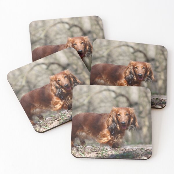 Item preview, Long haired dachshund designed and sold by ART-SUNRISE.
