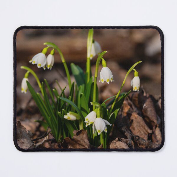 Item preview, Spring Snowflake Flowers Blooming Among Dry Leaves in the Forest designed and sold by ART-SUNRISE.