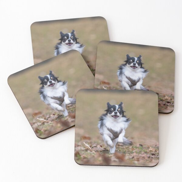 Item preview, A small Chihuahua runs through the park in spring designed and sold by ART-SUNRISE.