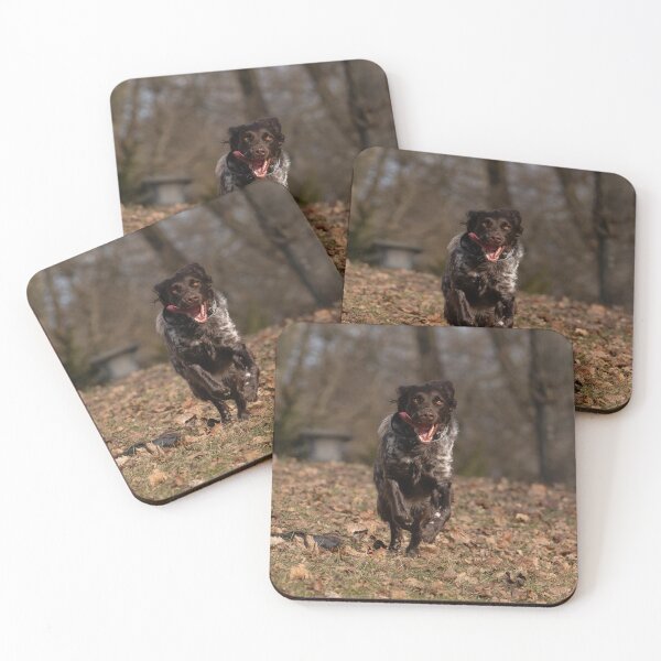 Item preview, Brown Roan Small Munsterlander Dog Walking  in a Sunlit Field designed and sold by ART-SUNRISE.