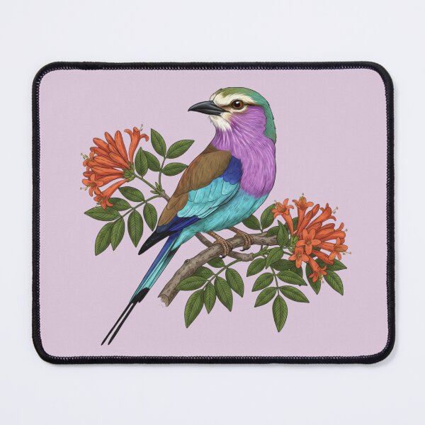 Item preview, Vintage Lilac-breasted Roller and Orange Honeysuckle Botanical Art designed and sold by BirdsnStuff.