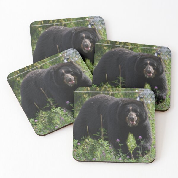 Item preview, Andean Bear designed and sold by Kim Pruim.
