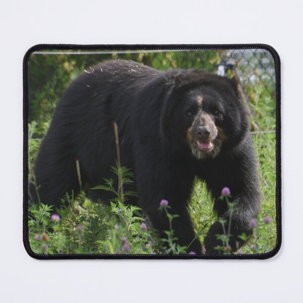 Item preview, Andean Bear designed and sold by Kim Pruim.