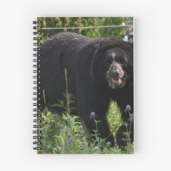Item preview, Andean Bear designed and sold by Kim Pruim.
