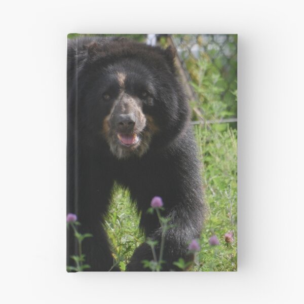 Item preview, Andean Bear designed and sold by Kim Pruim.