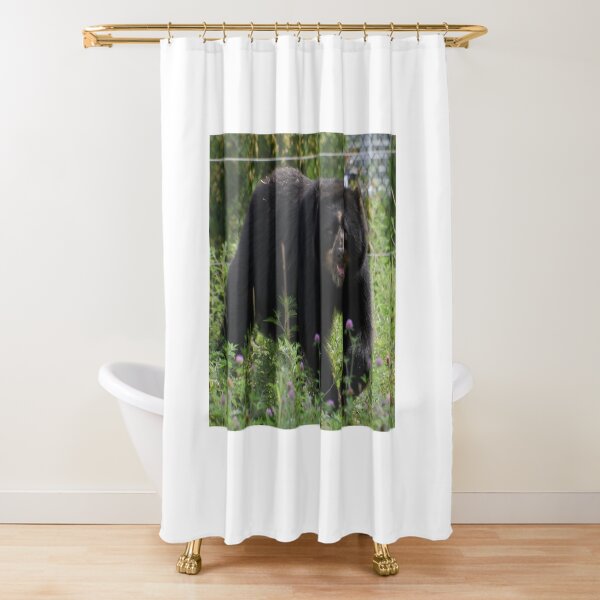 Item preview, Andean Bear designed and sold by Kim Pruim.