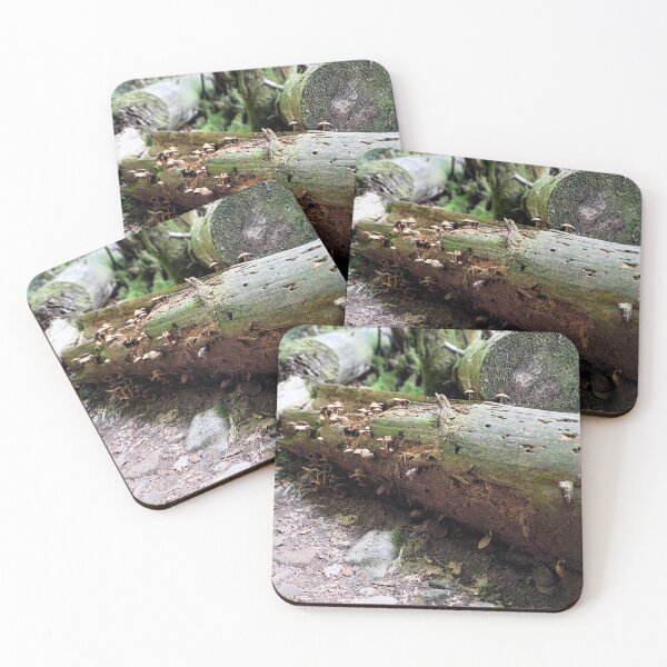 Item preview, Wild Fungi on Mossy Log, Spanish Pyrenees designed and sold by LavaAndLight.