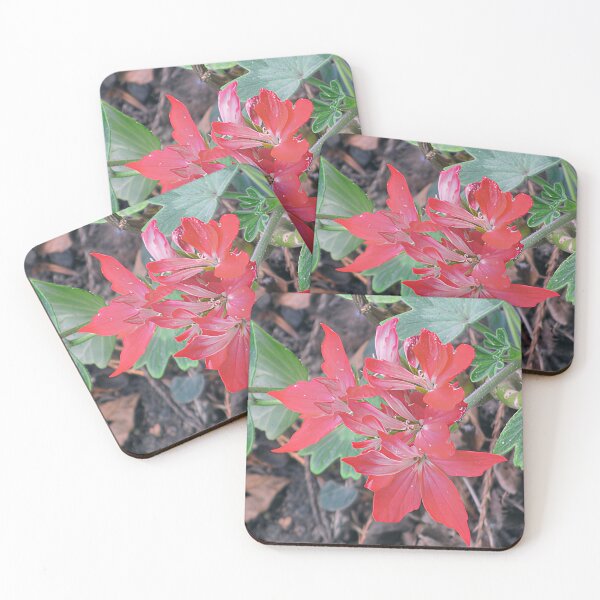 Item preview, Red Stellar Geranium designed and sold by Katy Fryd.