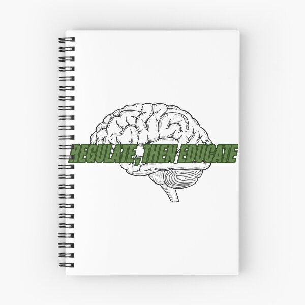 Item preview, Regulate Then Educate – Brain Psychology - Emotional Regulation designed and sold by CreativeChange.