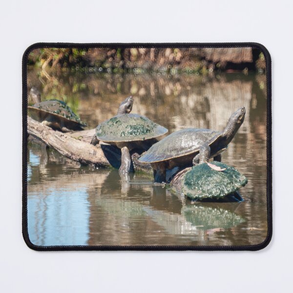 Item preview, Turtles on a Log designed and sold by D-GaP.