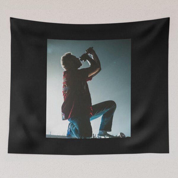 Item preview, Post Malone Austin Album Rap 90s designed and sold by marionmicbplko.
