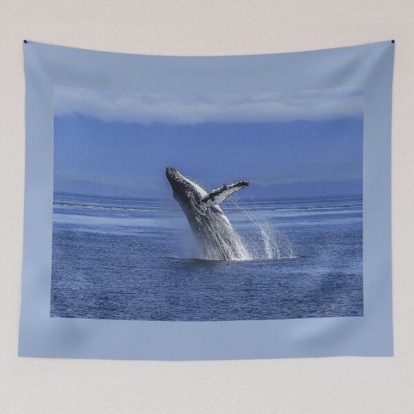Item preview, Humpback Whale, Breaching, Alaska designed and sold by AlaskaExtreme.
