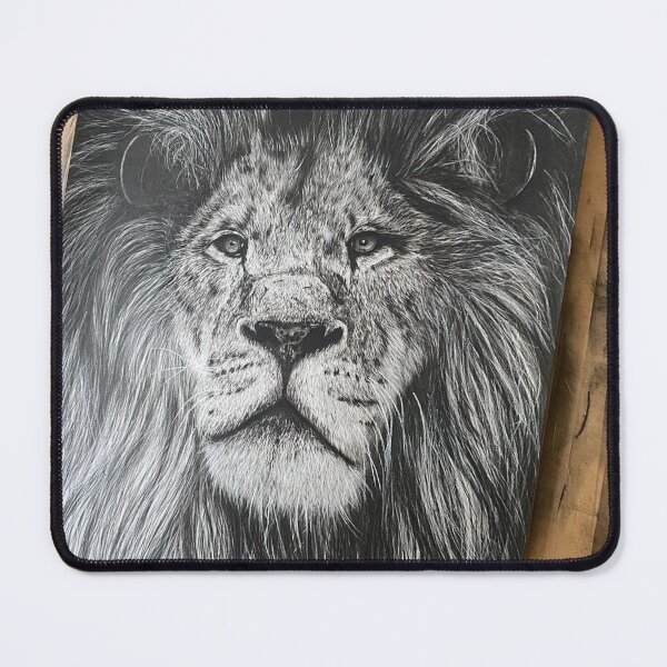 Item preview, Koala Korea University bLover Aussie Pride designed and sold by Aninature.