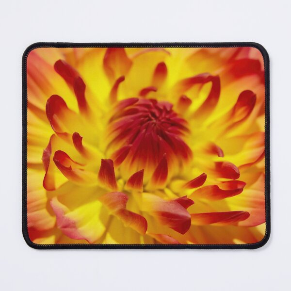 Item preview, A Gorgeous Two Colored Summer Dahlia designed and sold by hurmerinta.