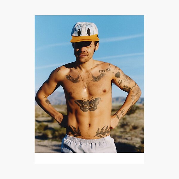 Item preview, Harry Styles Donald Duck hat designed and sold by RAllan1.