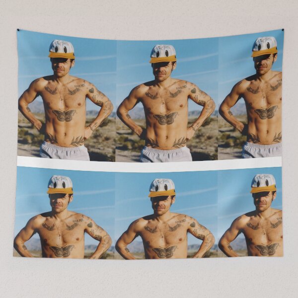 Item preview, Harry Styles Donald Duck hat designed and sold by RAllan1.