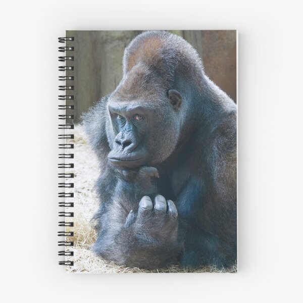 Item preview, Silverback Striking a Pose designed and sold by rawshutterbug.
