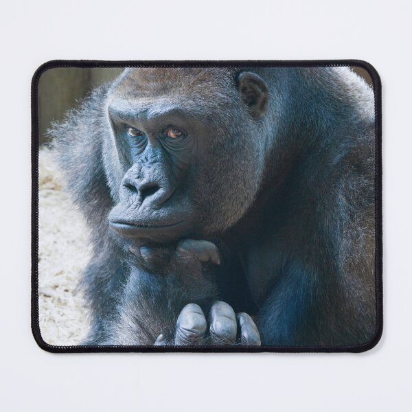 Item preview, Silverback Striking a Pose designed and sold by rawshutterbug.