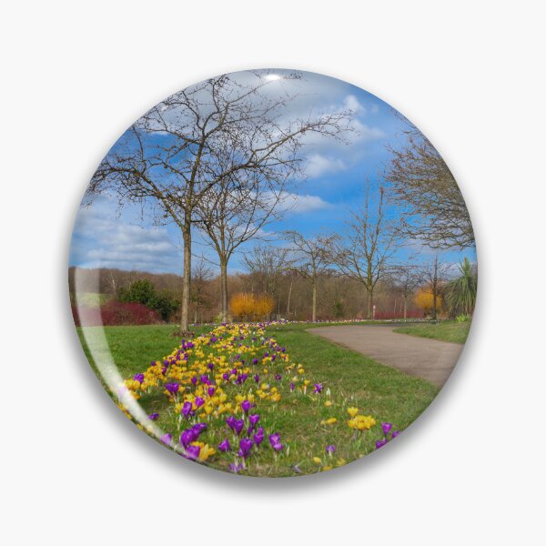 Item preview, Barnsley Monk Bretton Park Crocuses designed and sold by Alisonchambers2.