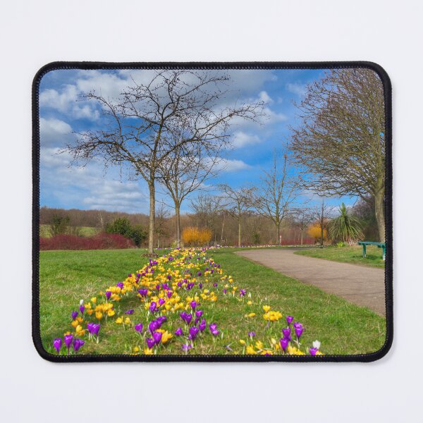 Item preview, Barnsley Monk Bretton Park Crocuses designed and sold by Alisonchambers2.