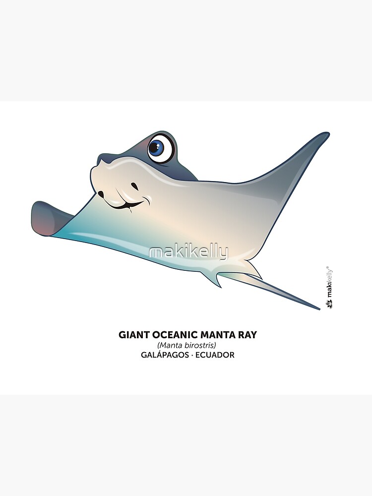 Lámina rígida «Manta Raya Oceánica Gigante» de makikelly | Redbubble Lámina rígida «Manta Raya Oceánica Gigante» de makikelly | Redbubble