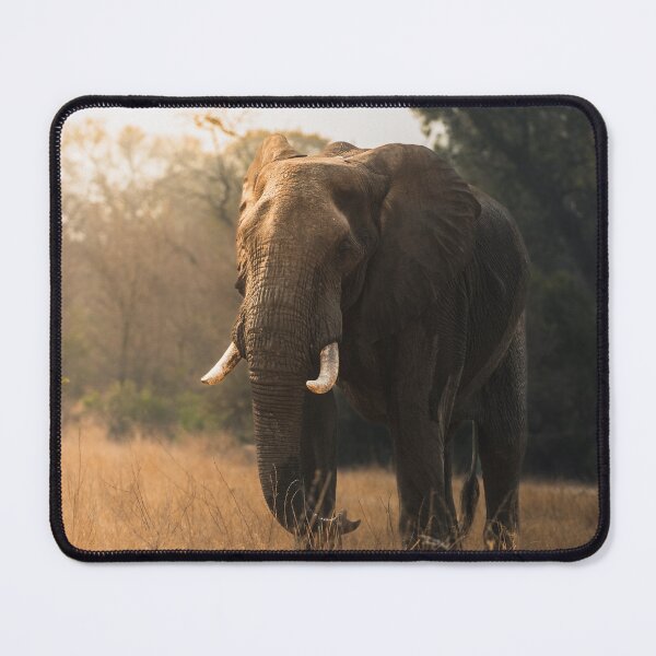 Item preview, African Elephant designed and sold by Wild MAP Xplorer.