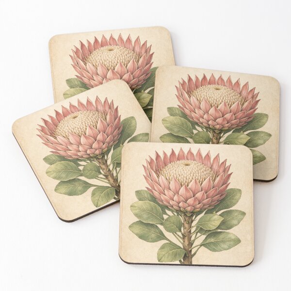 Item preview, Vintage King Protea Botanical Illustration - Protea Cynaroides Antique Botanical Print designed and sold by Darlin8888.