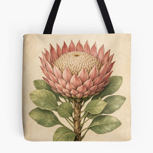Item preview, Vintage King Protea Botanical Illustration - Protea Cynaroides Antique Botanical Print designed and sold by Darlin8888.