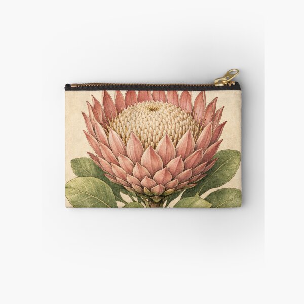 Item preview, Vintage King Protea Botanical Illustration - Protea Cynaroides Antique Botanical Print designed and sold by Darlin8888.